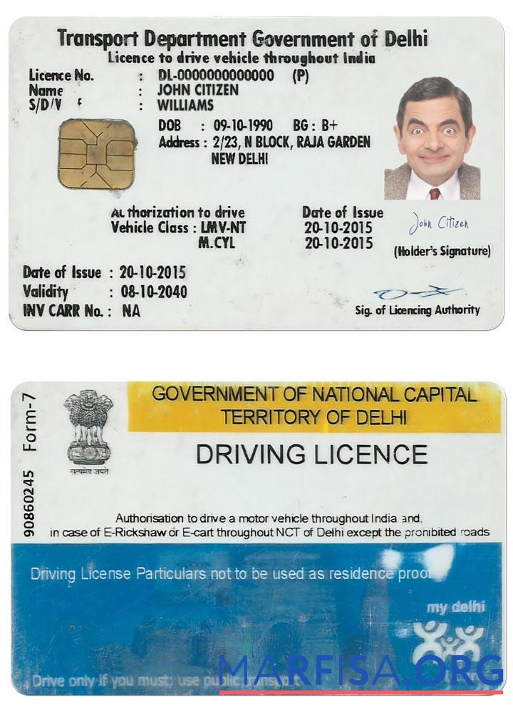 Downloadable India (Delhi) driving license example